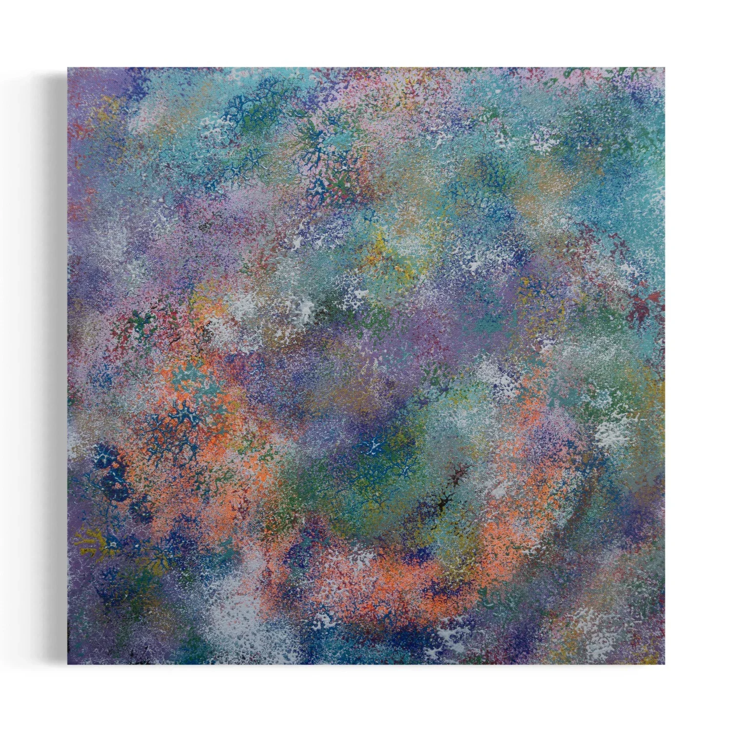 Colorful Corals