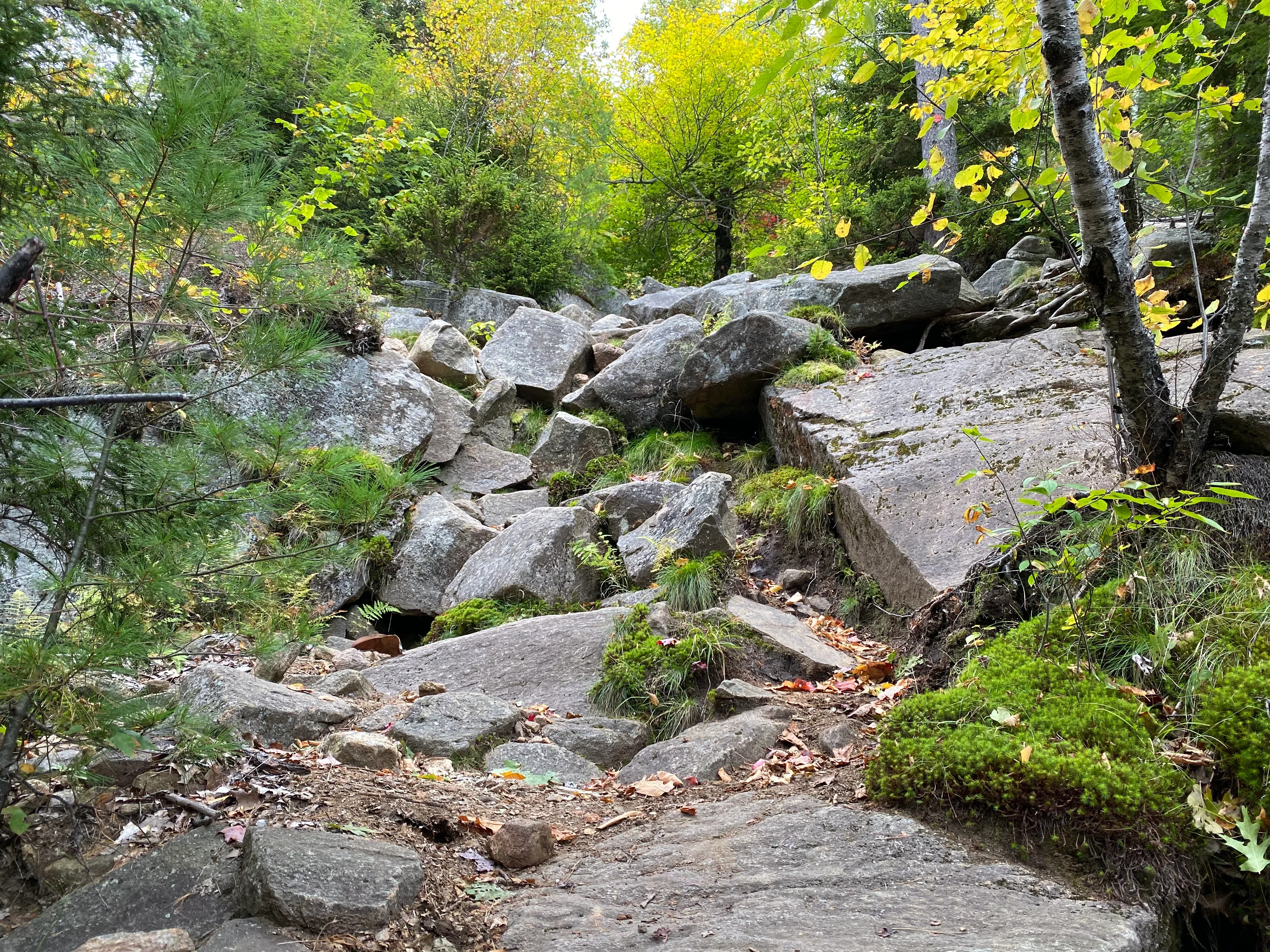 Crane Mountain