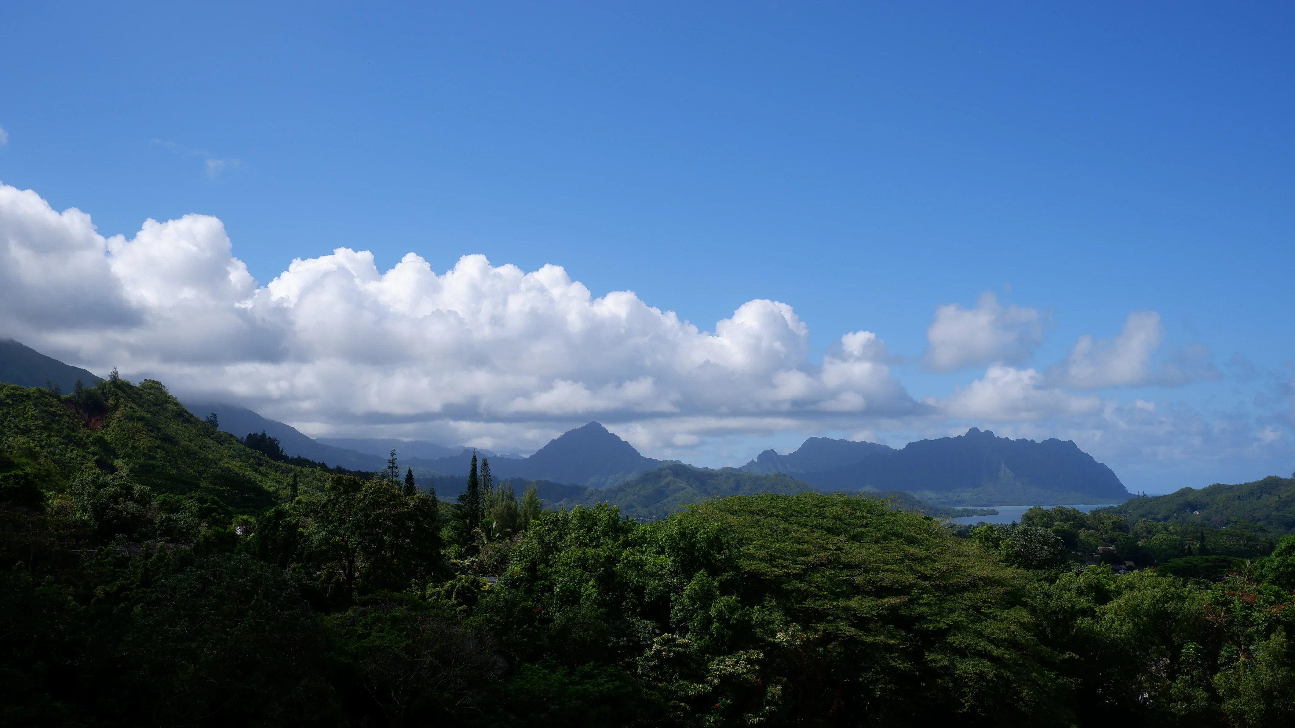 Ho'omaluhia Botanical Garden