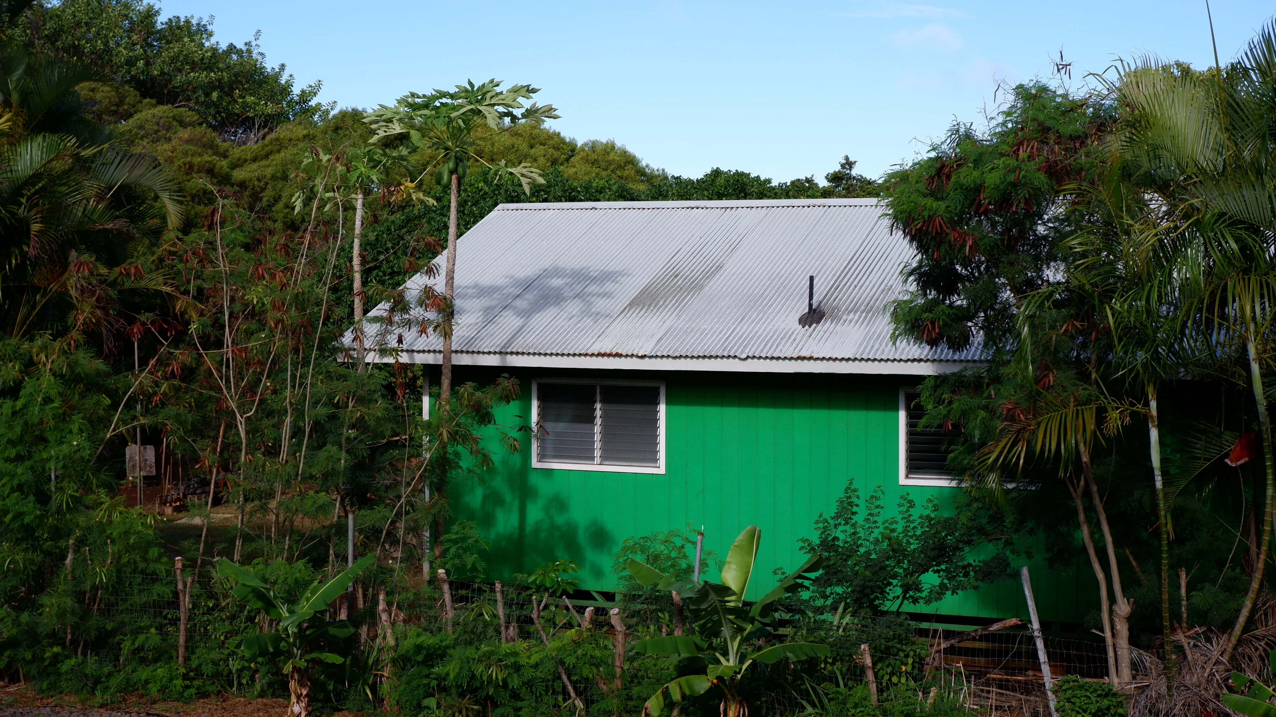 Honolulu House