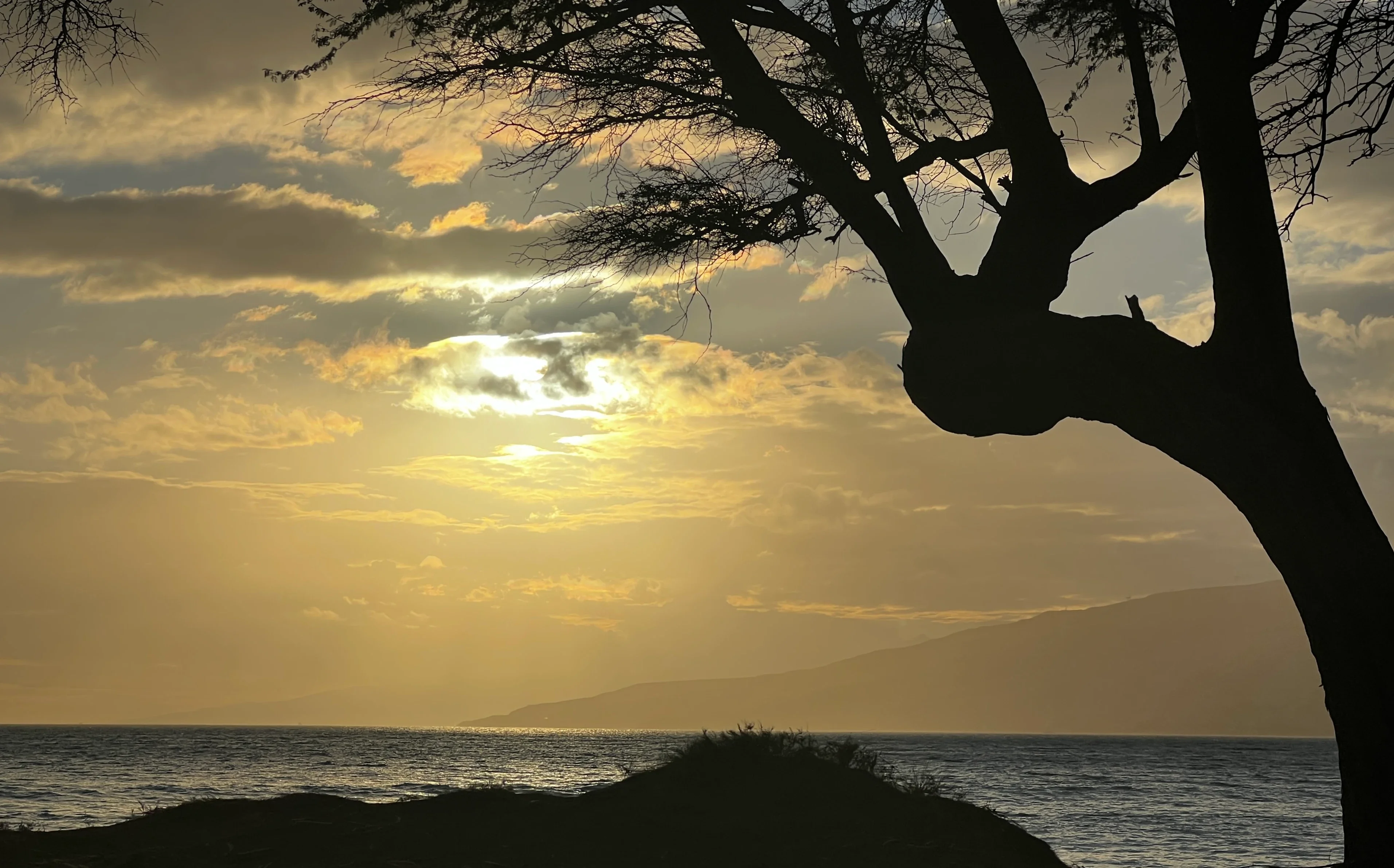 Maui