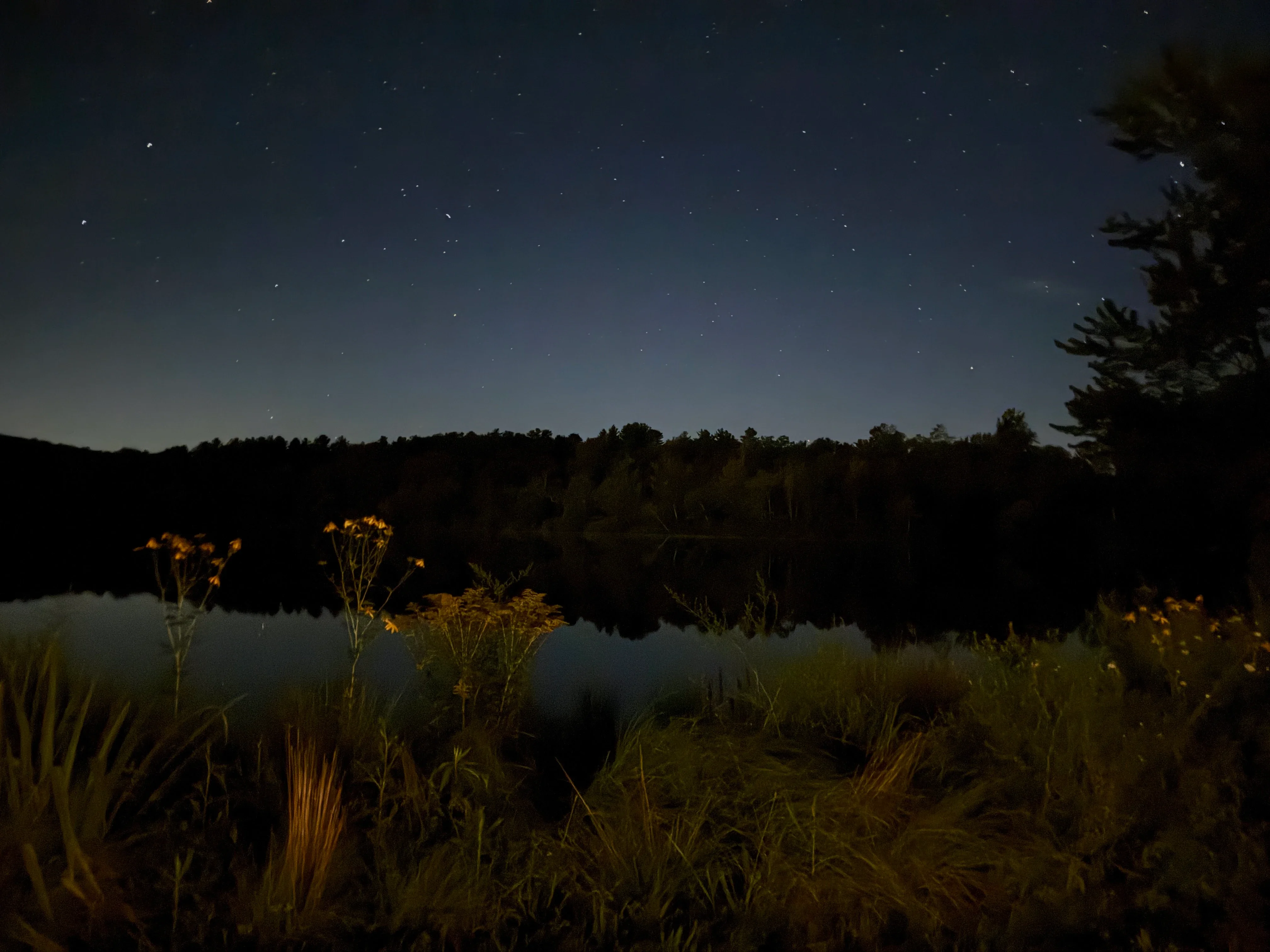 Prospect Lake