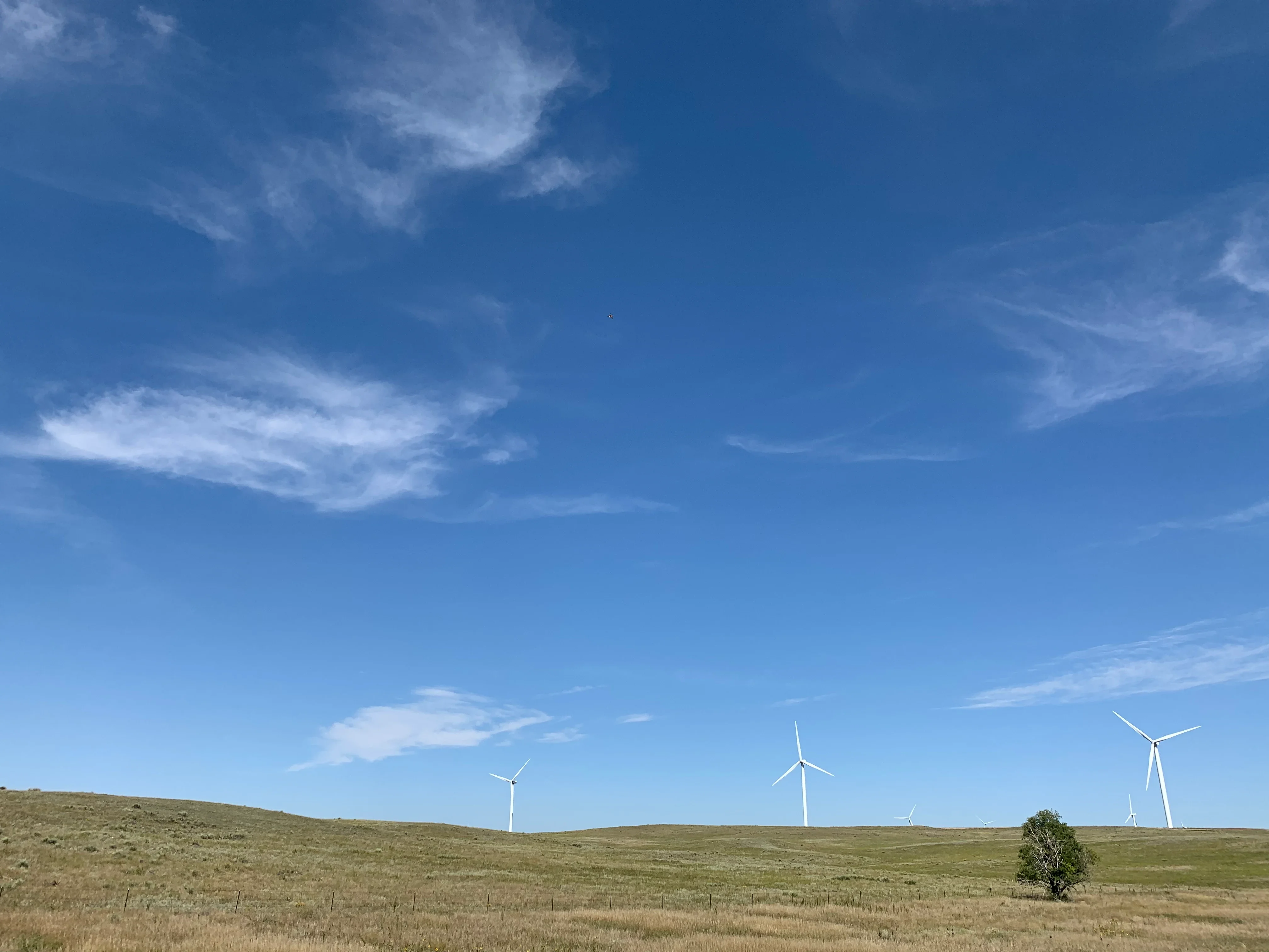 Sun Belt Wind