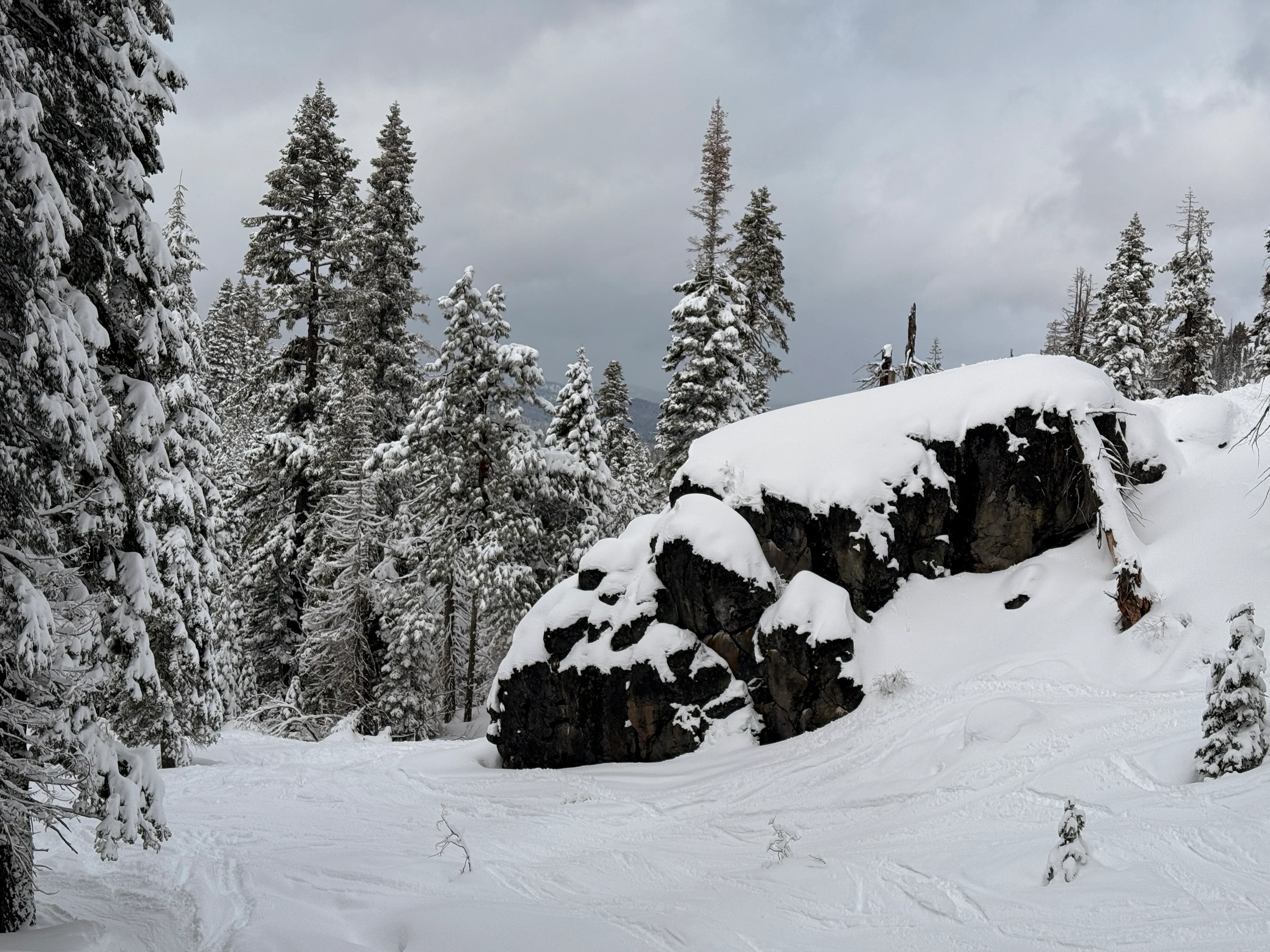 Truckee