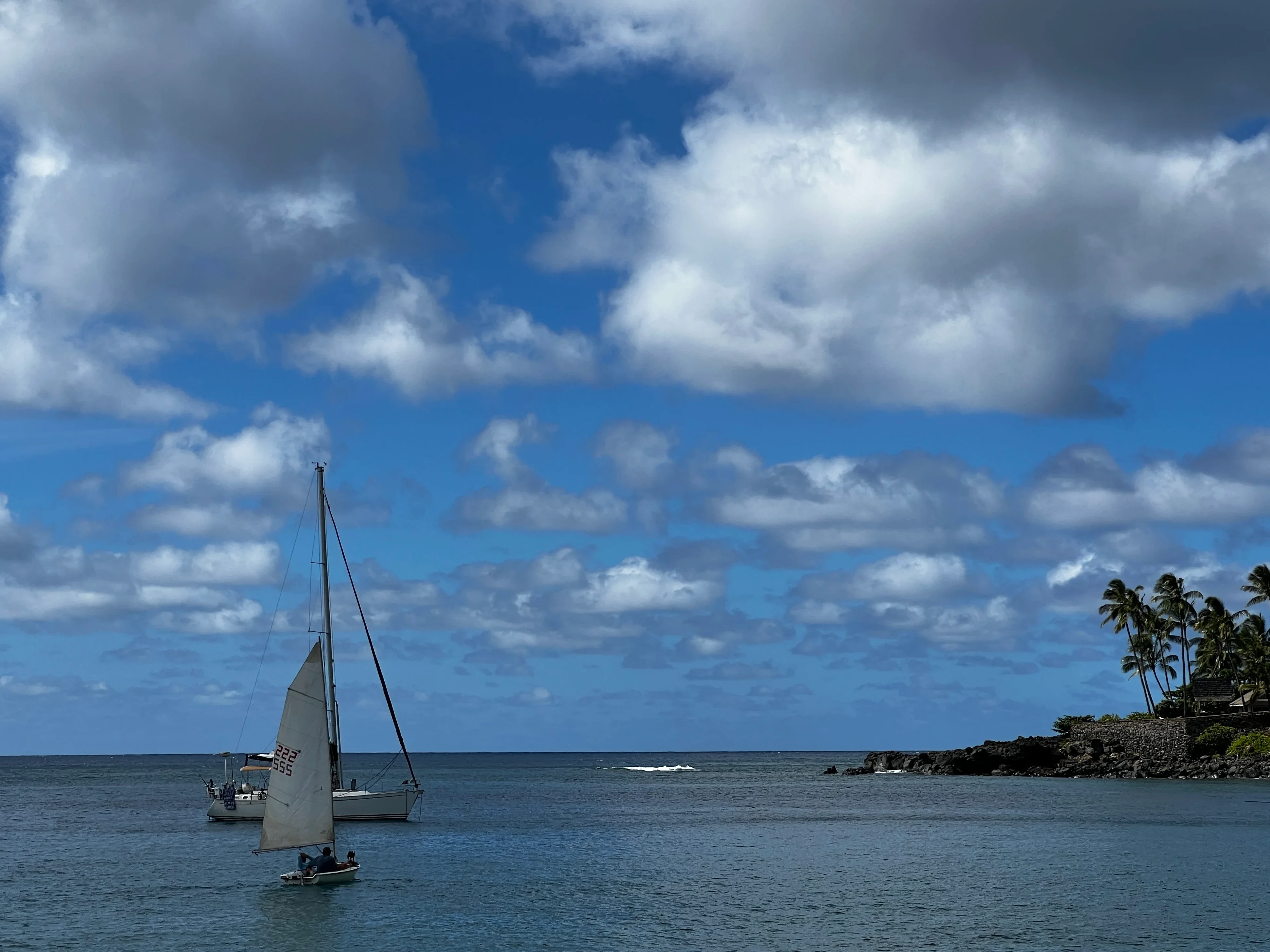 Waimea